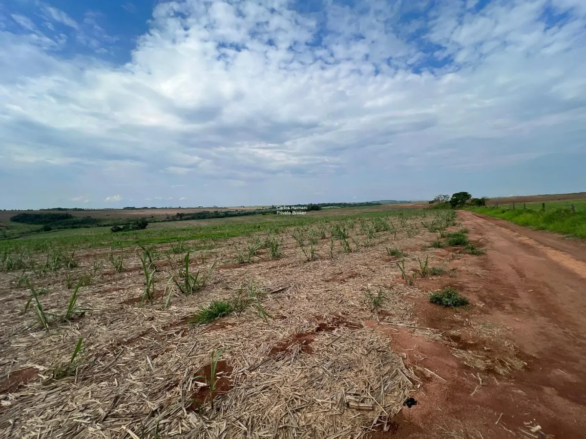 Small farm for sale of 47 acres in Indaiatuba, SP, Brazil