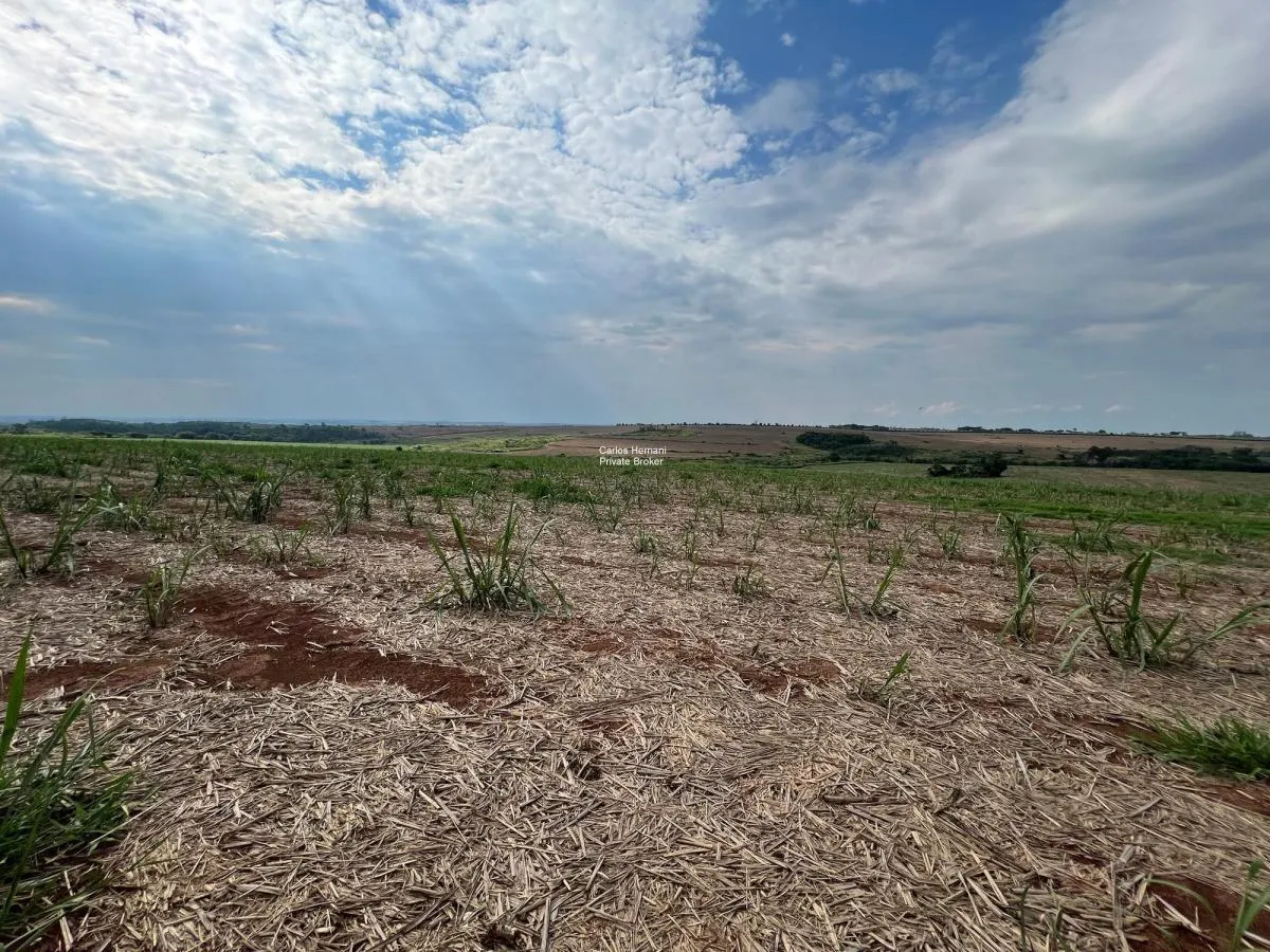 Small farm for sale of 47 acres in Indaiatuba, SP, Brazil