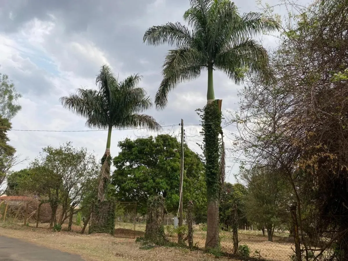 Chácara à venda de 5.100 m² em São Carlos, SP, Brasil