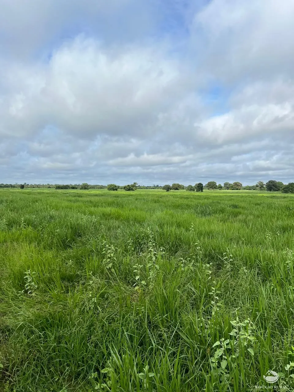 Fazenda à venda de 4.191 ha em Cocalinho, MT, Brasil