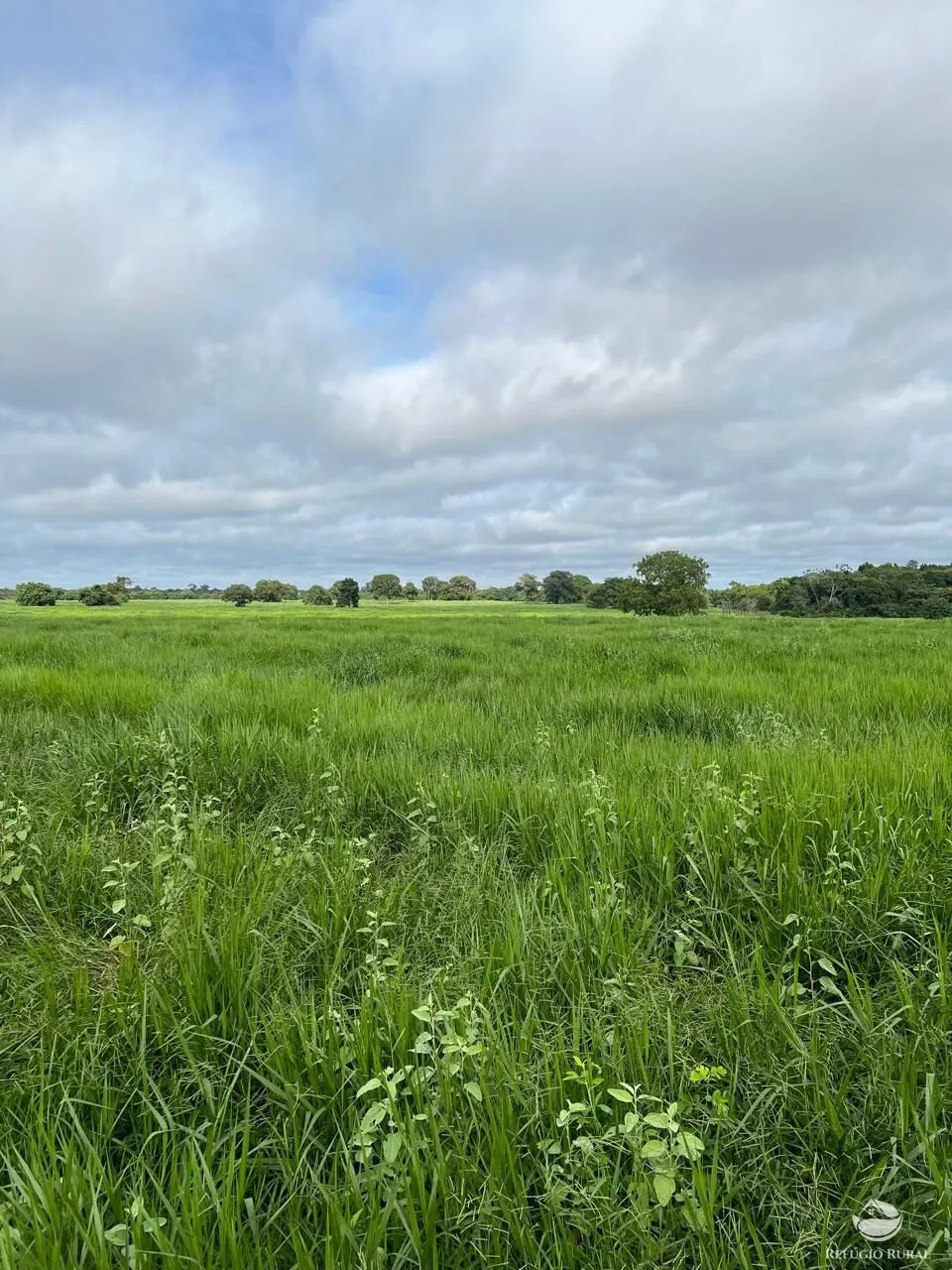 Fazenda à venda de 4.191 ha em Cocalinho, MT, Brasil