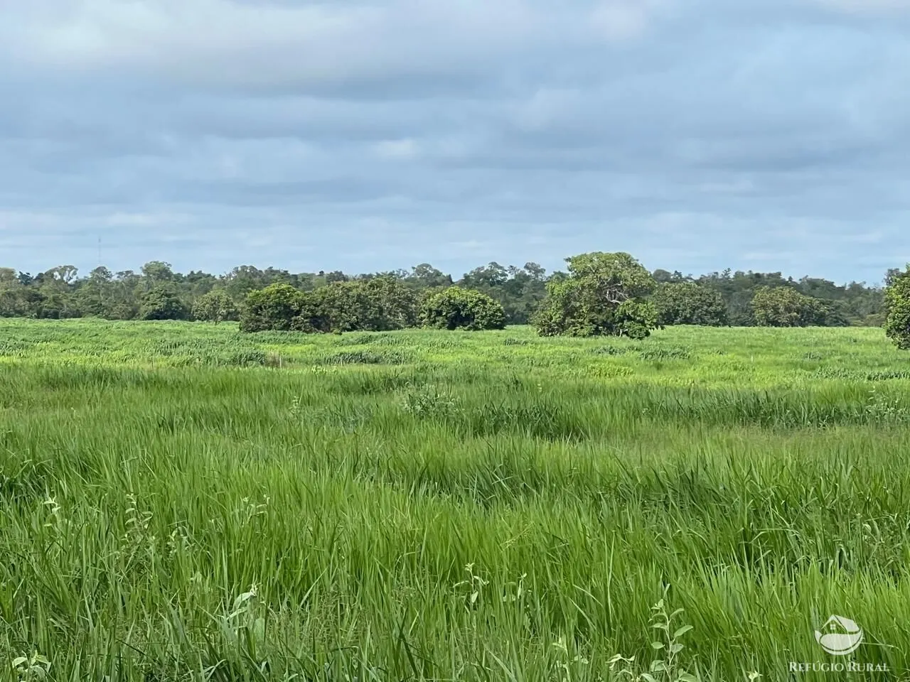 Fazenda à venda de 4.191 ha em Cocalinho, MT, Brasil