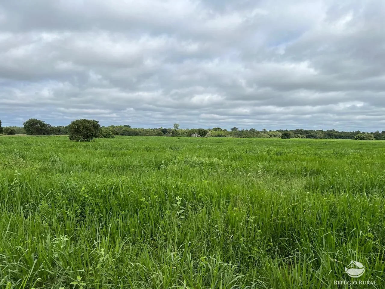 Fazenda à venda de 4.191 ha em Cocalinho, MT, Brasil