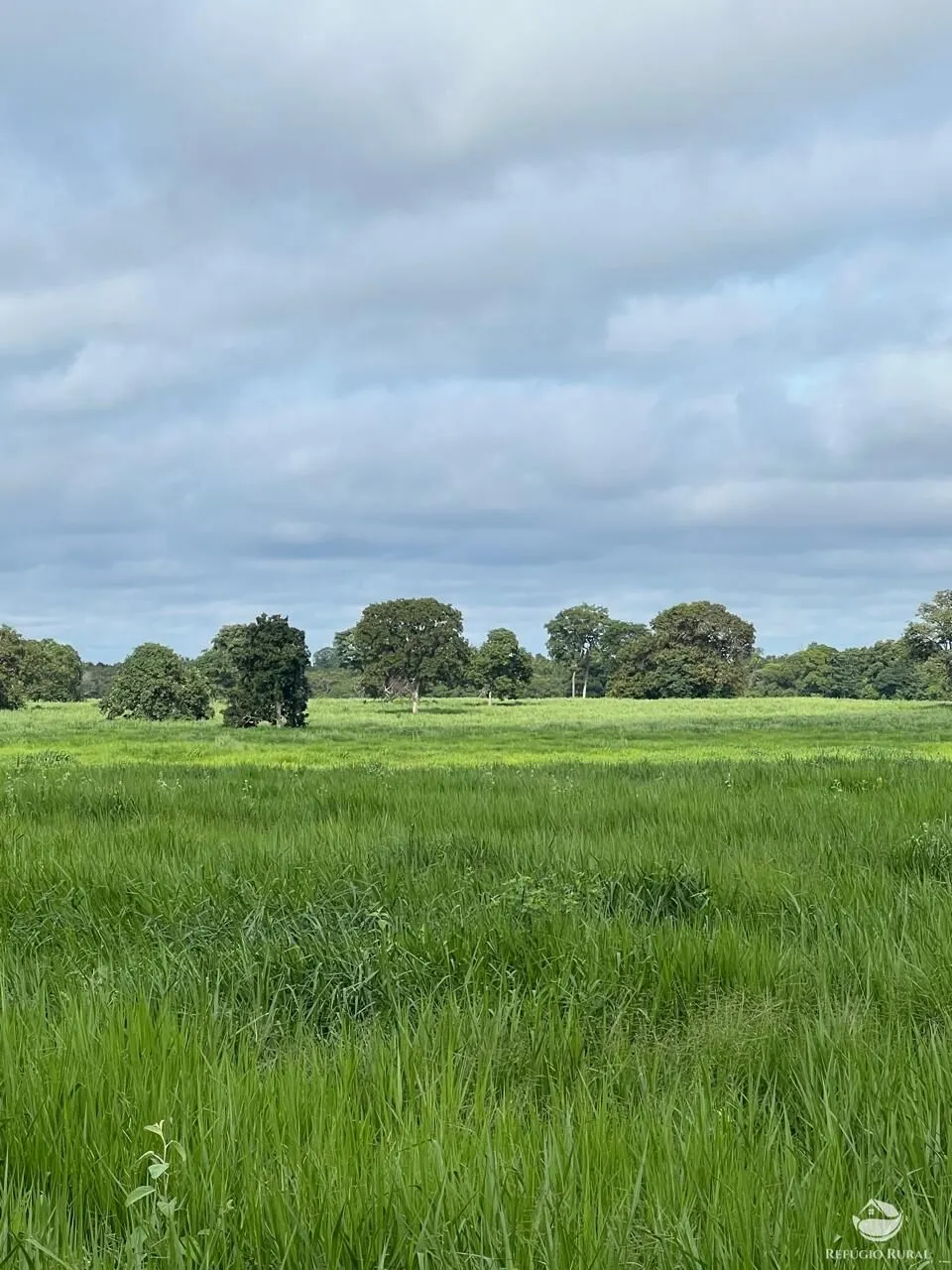 Fazenda à venda de 4.191 ha em Cocalinho, MT, Brasil