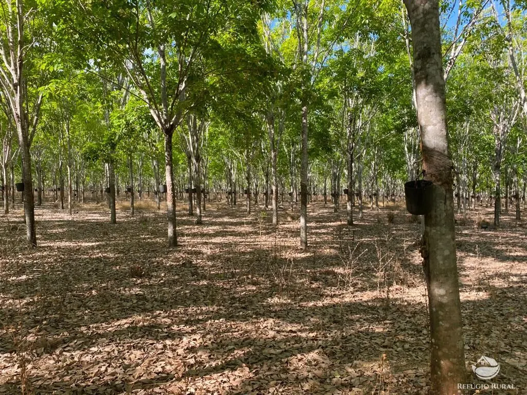 Fazenda à venda de 4.191 ha em Cocalinho, MT, Brasil