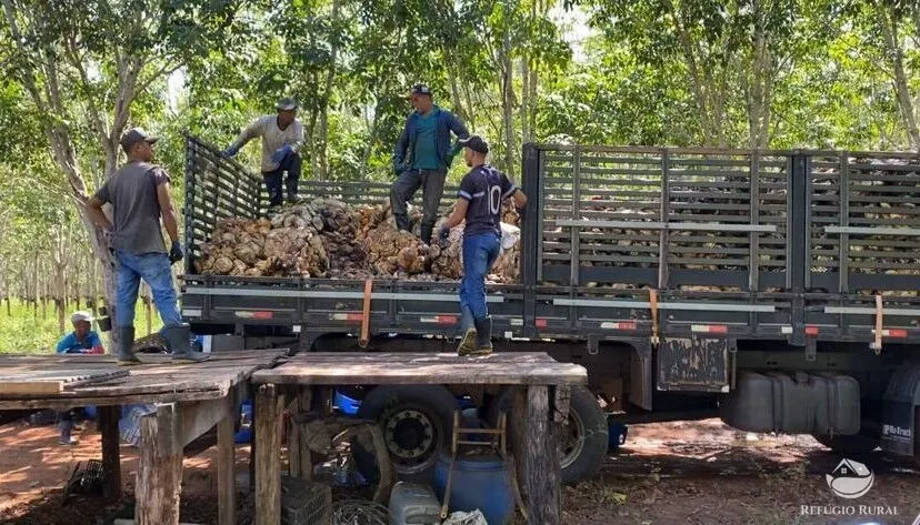 Fazenda à venda de 4.191 ha em Cocalinho, MT, Brasil