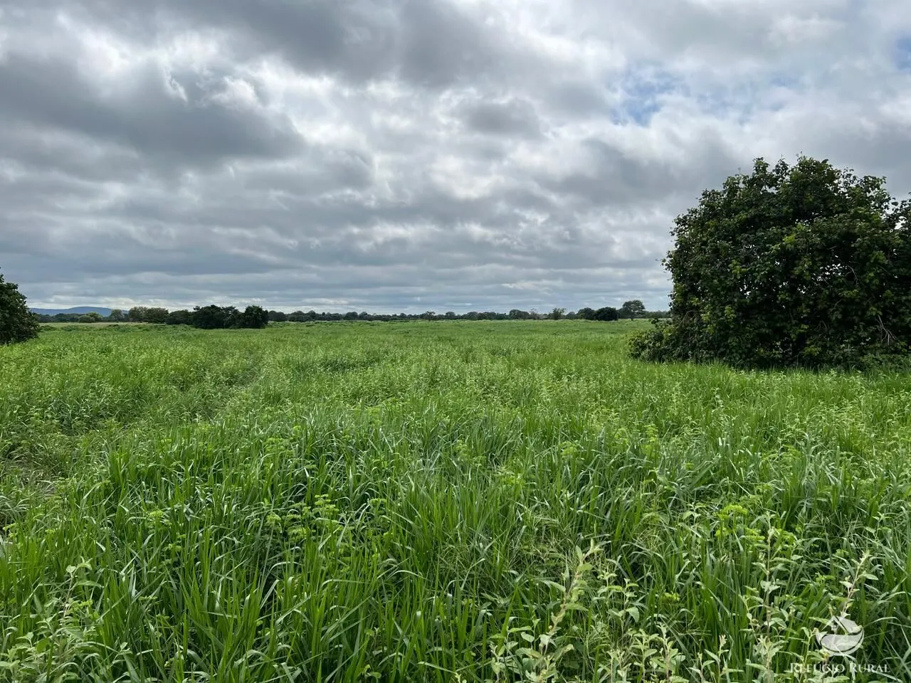 Fazenda à venda de 4.191 ha em Cocalinho, MT, Brasil