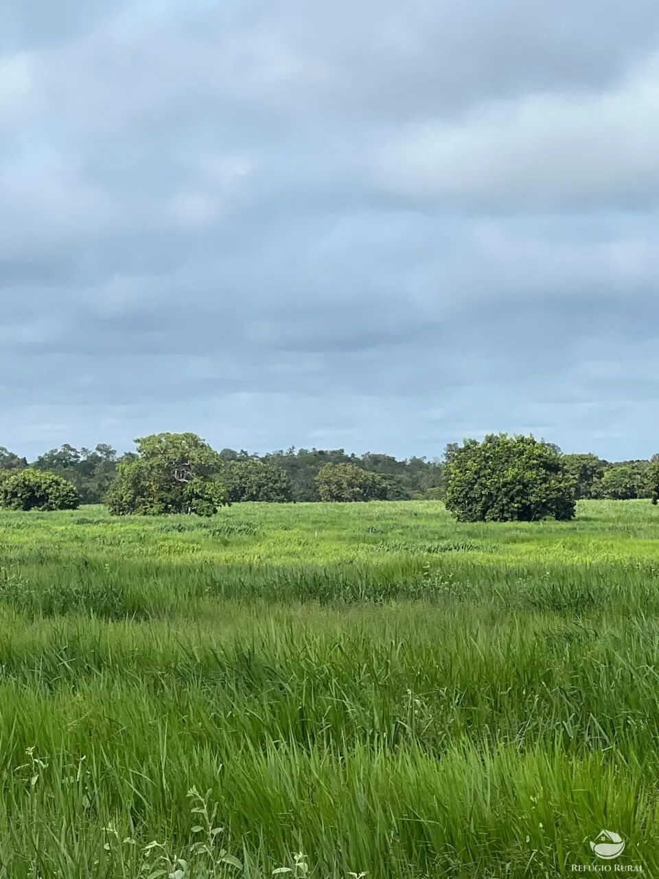 Fazenda à venda de 4.191 ha em Cocalinho, MT, Brasil