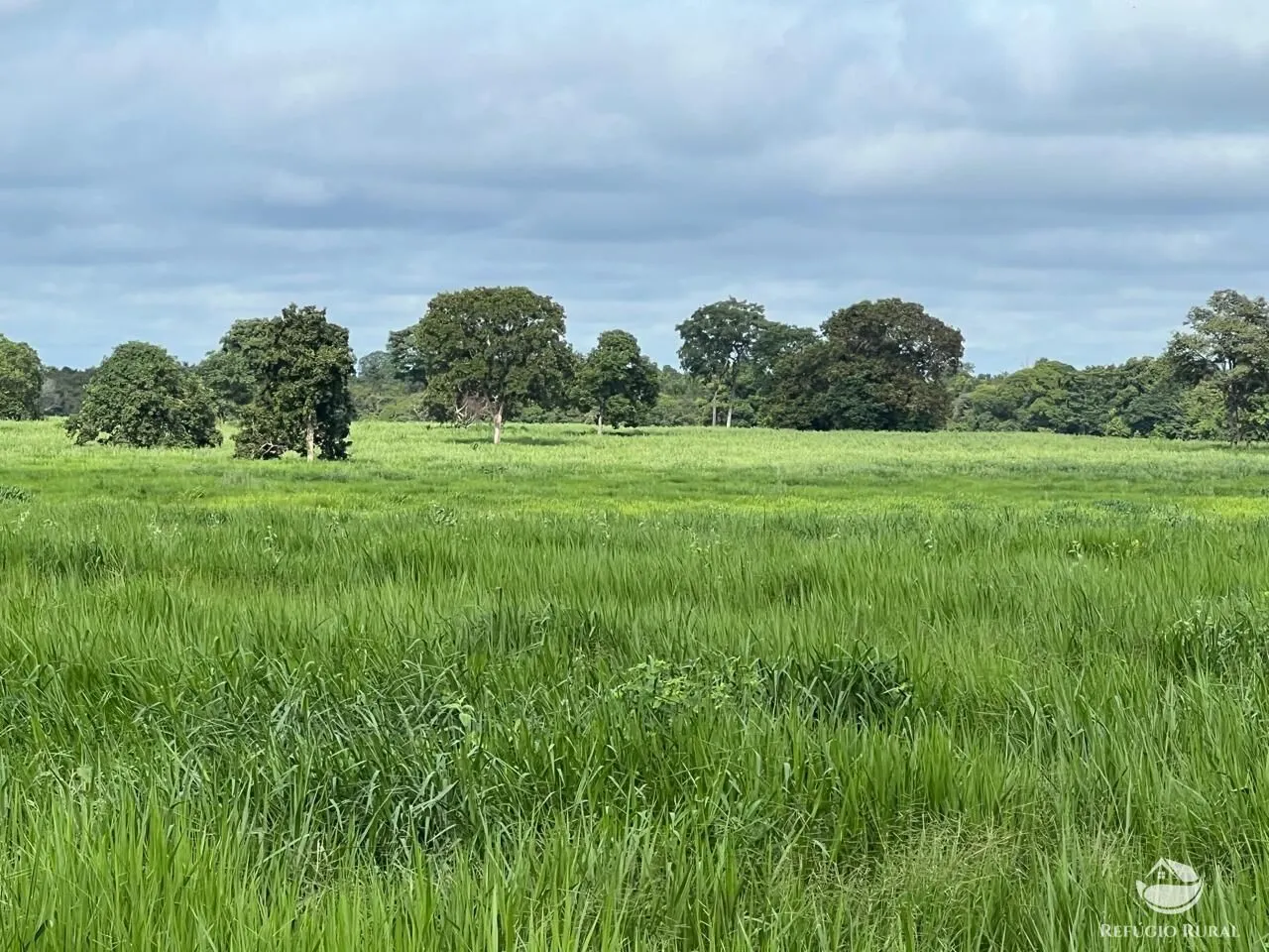 Fazenda à venda de 4.191 ha em Cocalinho, MT, Brasil