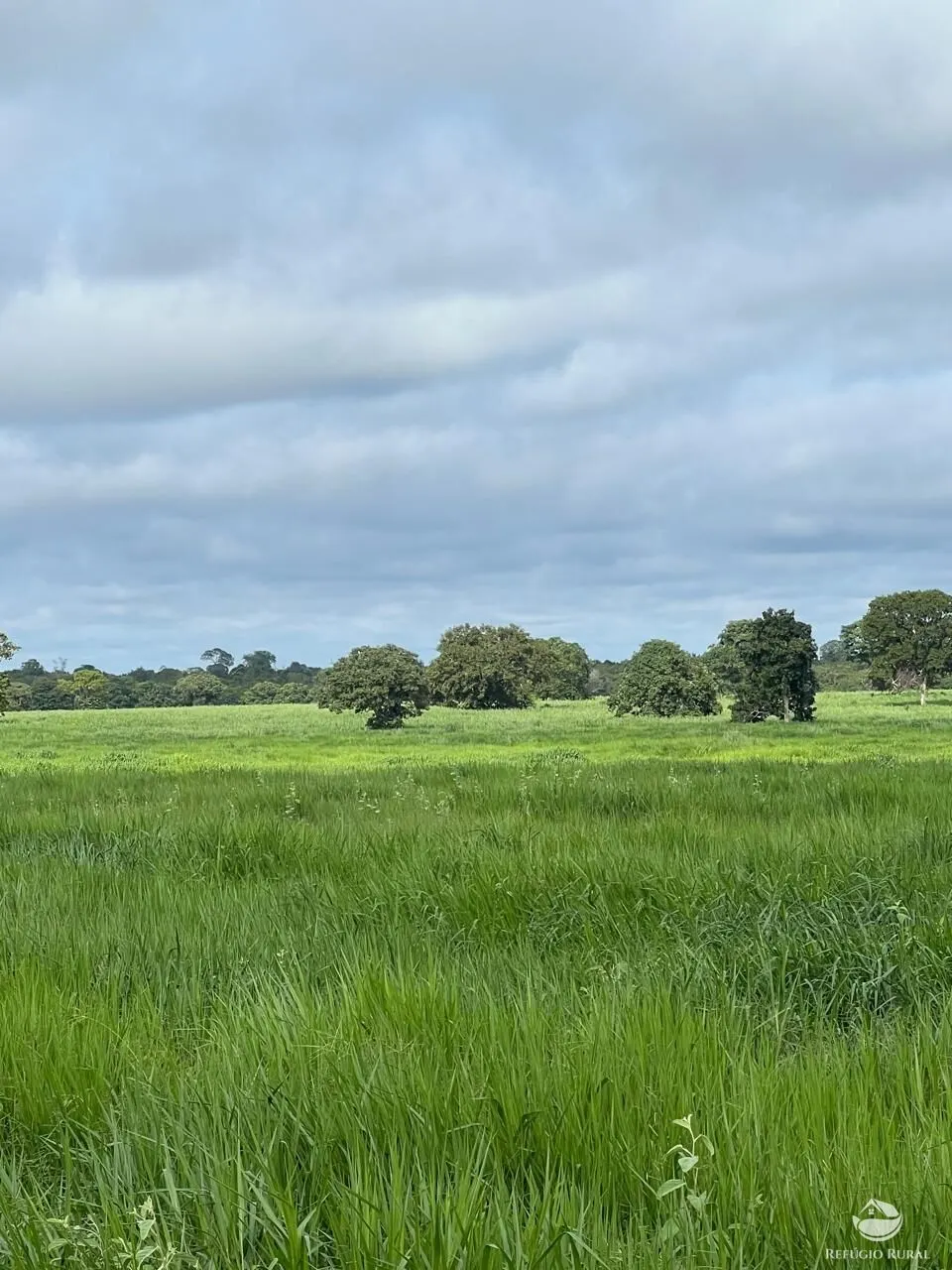 Fazenda à venda de 4.191 ha em Cocalinho, MT, Brasil