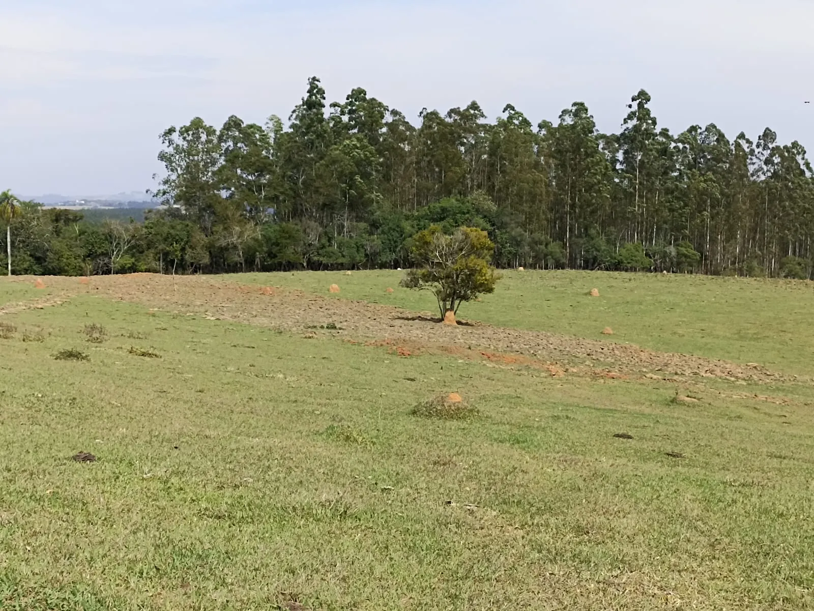 Sítio à venda de 18 ha em Alambari, SP, Brasil