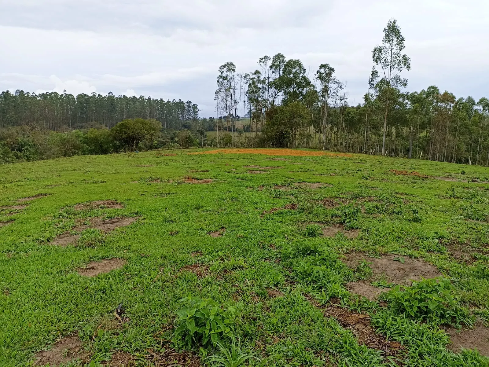 Sítio à venda de 18 ha em Alambari, SP, Brasil