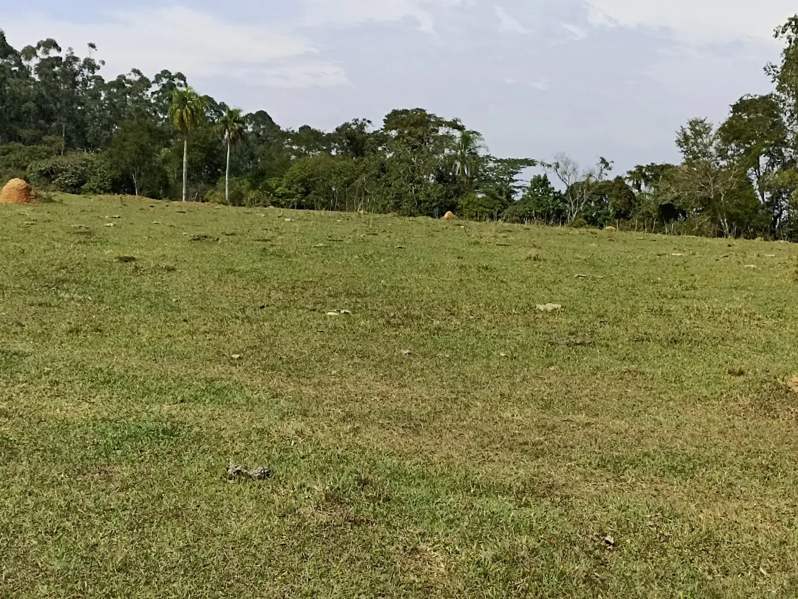 Sítio à venda de 18 ha em Alambari, SP, Brasil