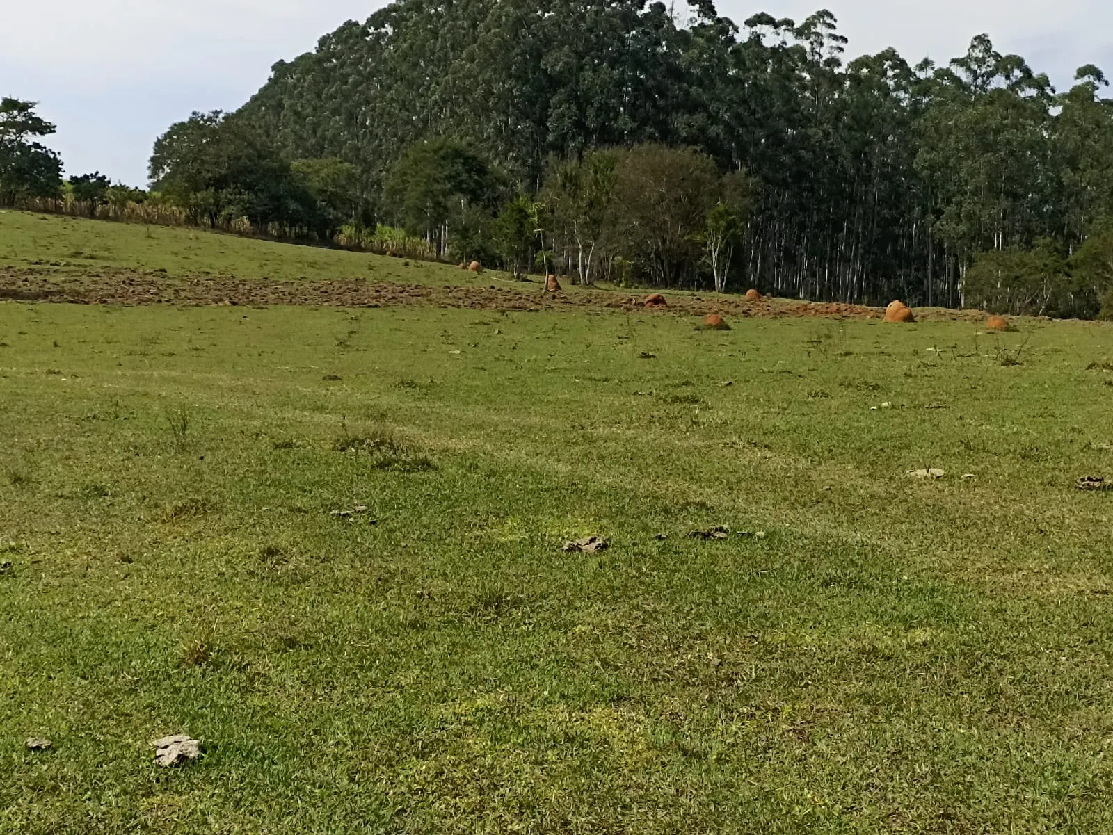 Sítio à venda de 18 ha em Alambari, SP, Brasil