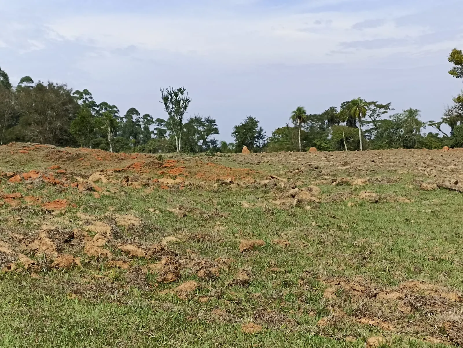 Sítio à venda de 18 ha em Alambari, SP, Brasil