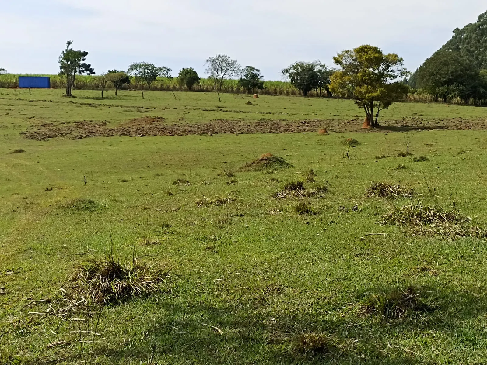Sítio à venda de 18 ha em Alambari, SP, Brasil