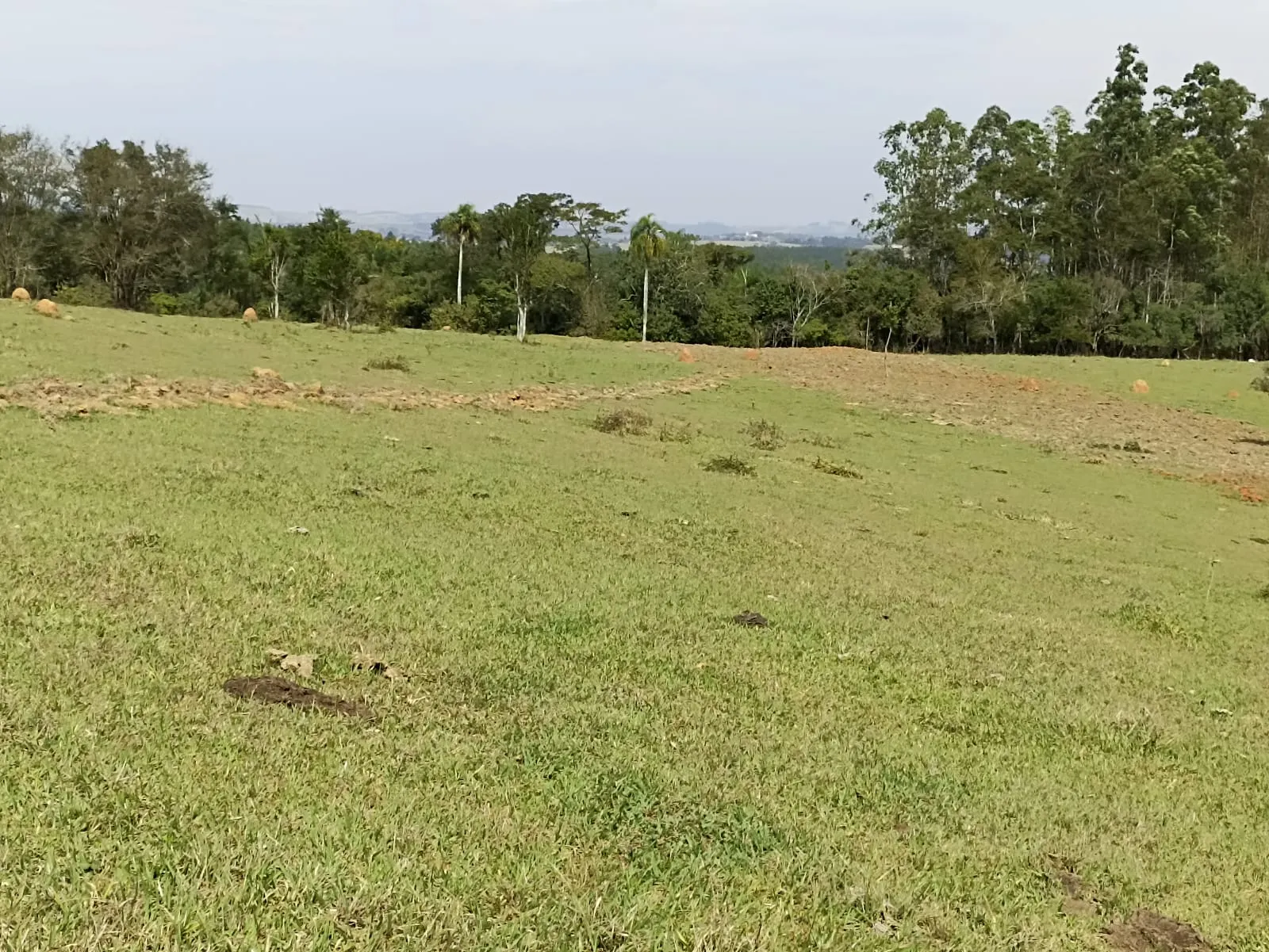 Sítio à venda de 18 ha em Alambari, SP, Brasil