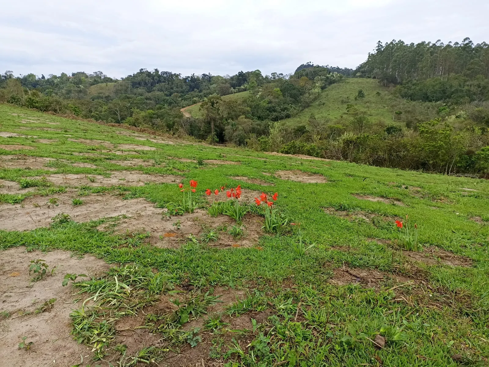 Sítio à venda de 18 ha em Alambari, SP, Brasil