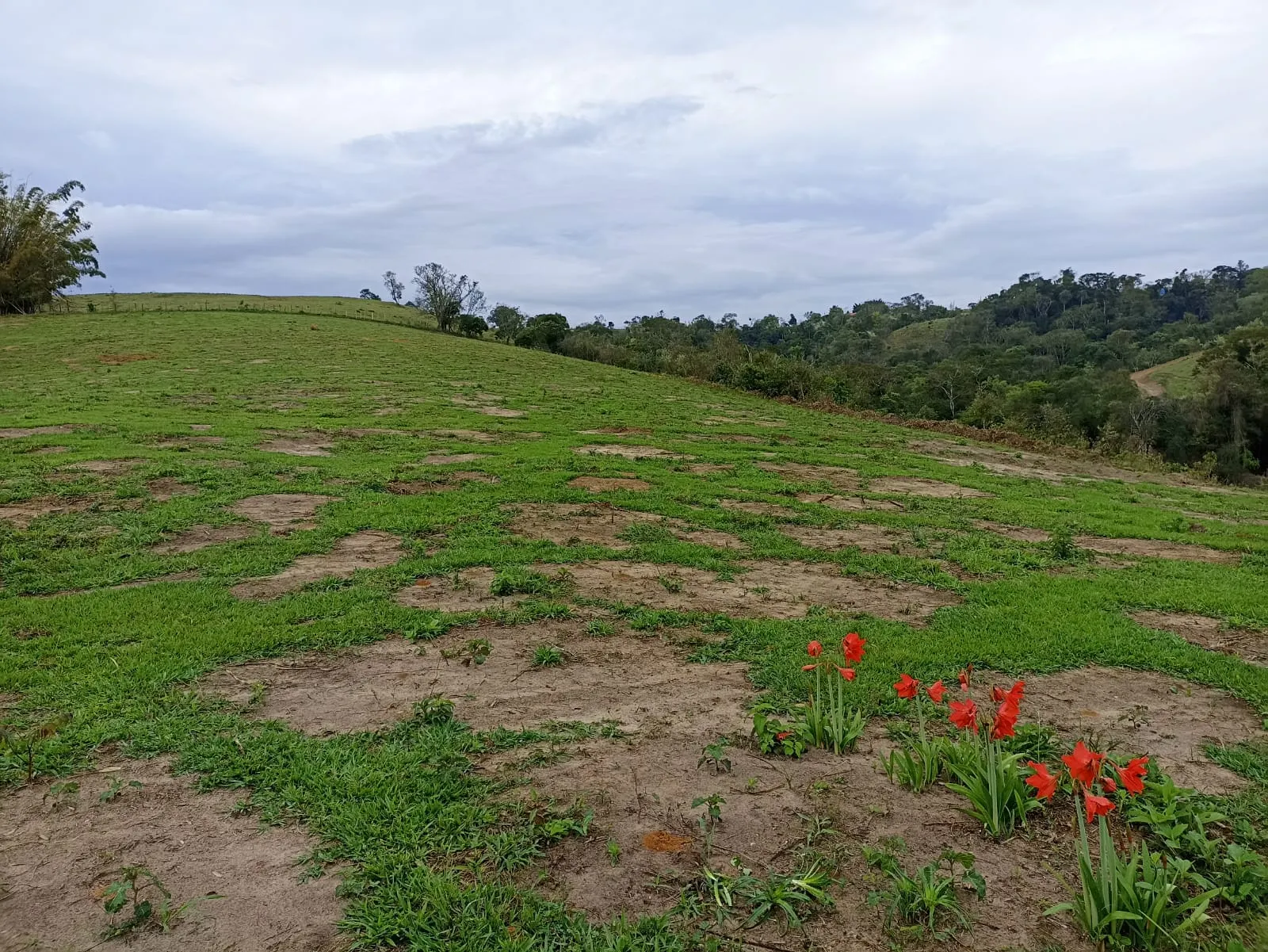 Sítio à venda de 18 ha em Alambari, SP, Brasil