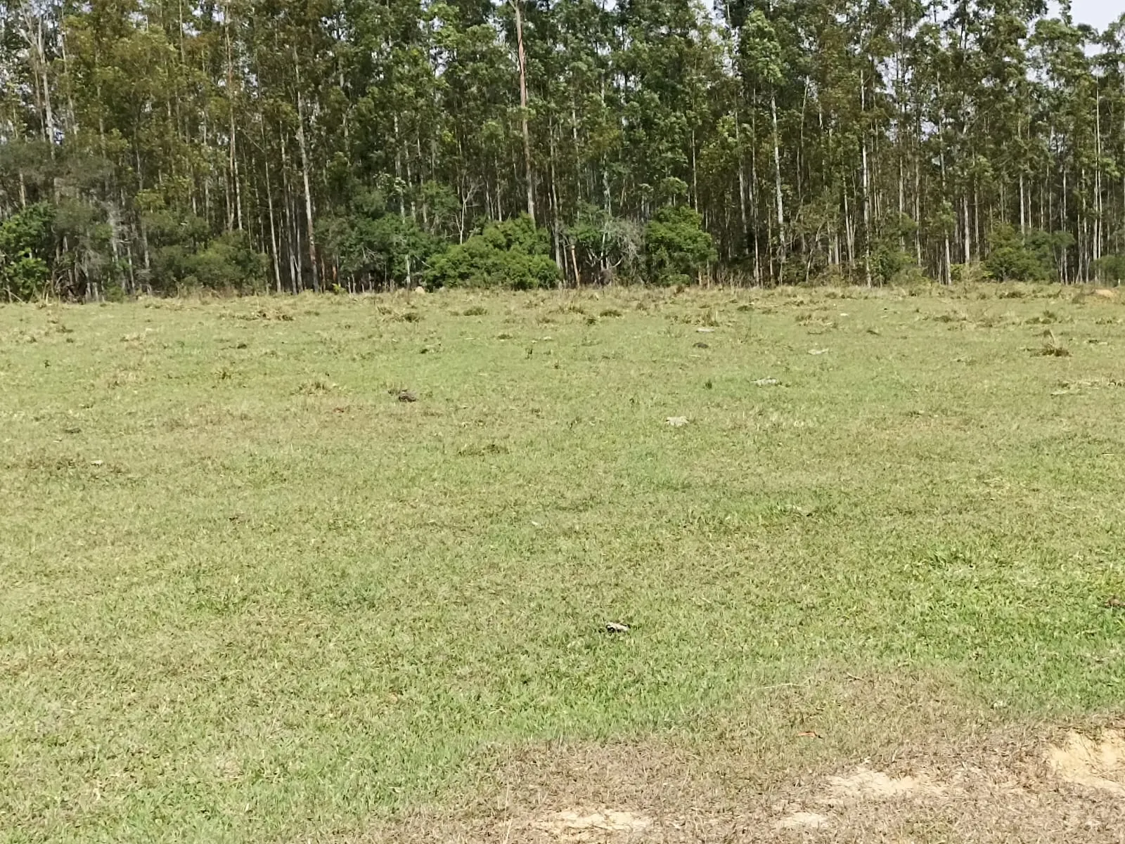 Sítio à venda de 18 ha em Alambari, SP, Brasil