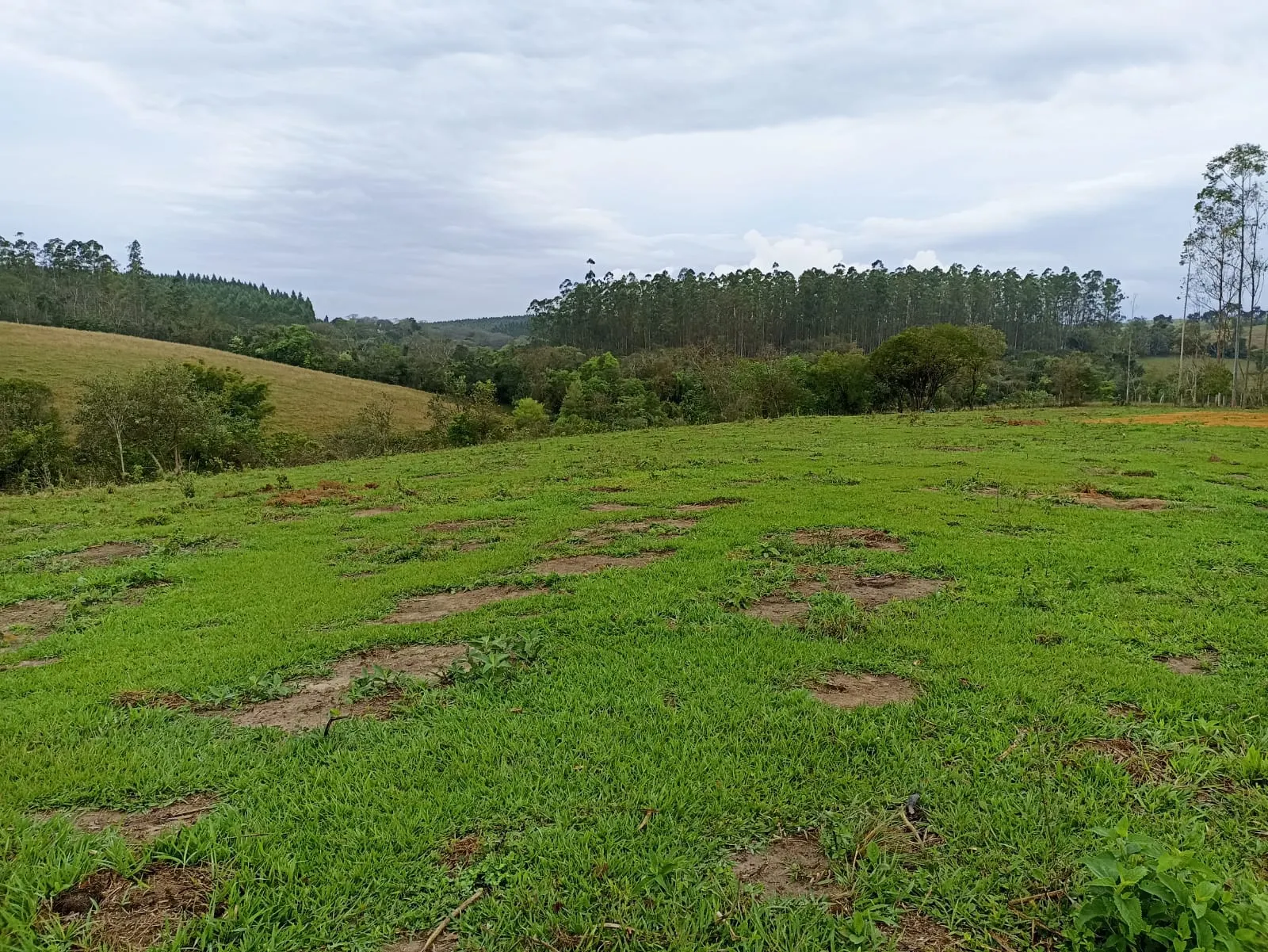 Sítio à venda de 18 ha em Alambari, SP, Brasil