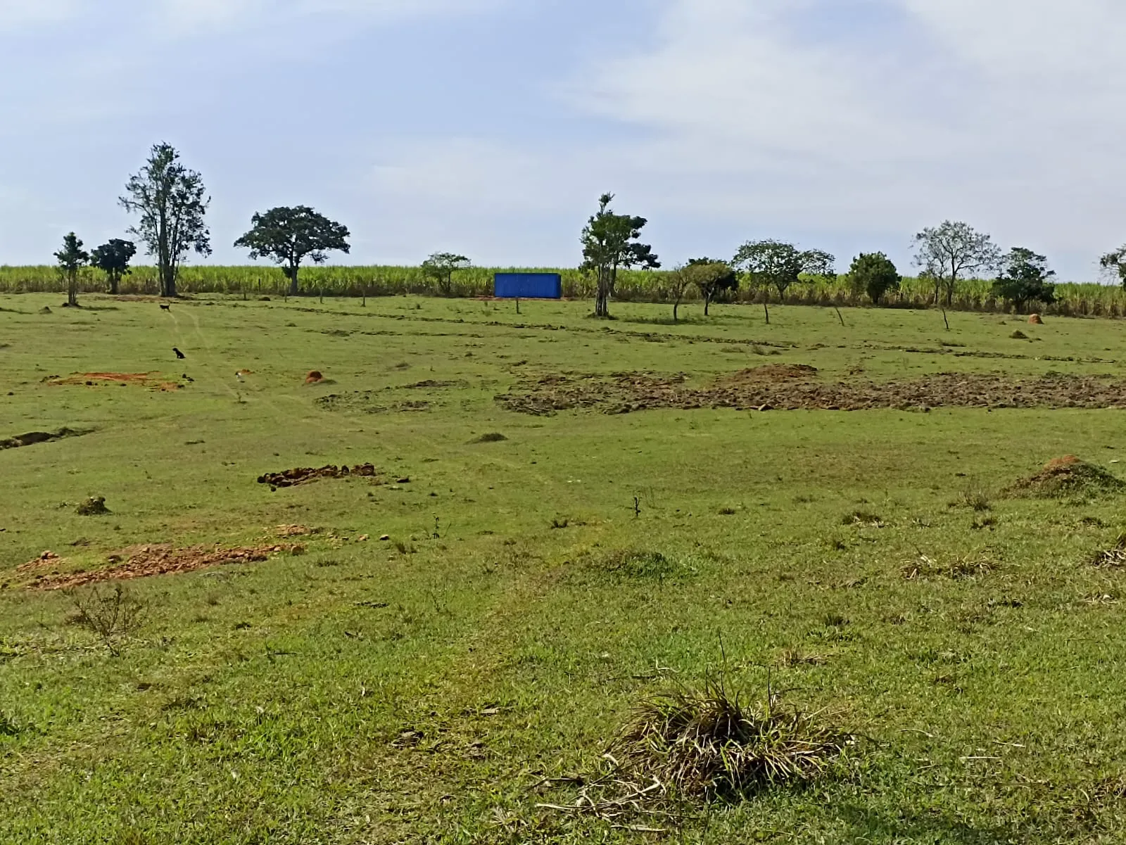 Sítio à venda de 18 ha em Alambari, SP, Brasil