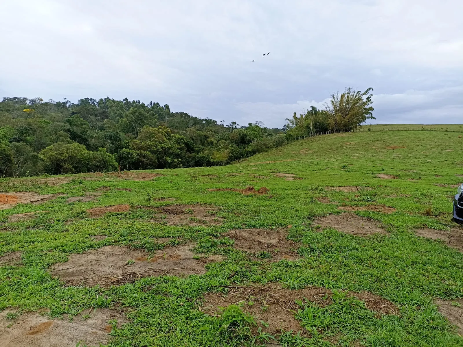 Sítio à venda de 18 ha em Alambari, SP, Brasil