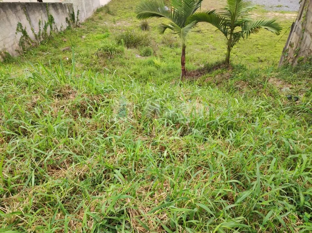 Terreno à venda de 1.379 m² em Major Gercino, SC, Brasil