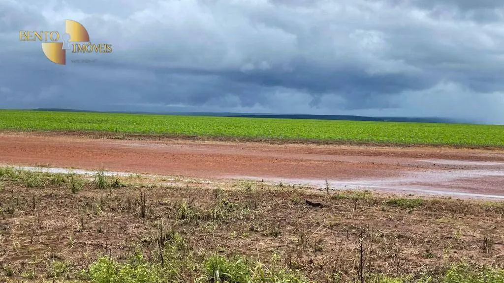Farm for sale of 18,286 acres in Nova Mutum, MT, Brazil