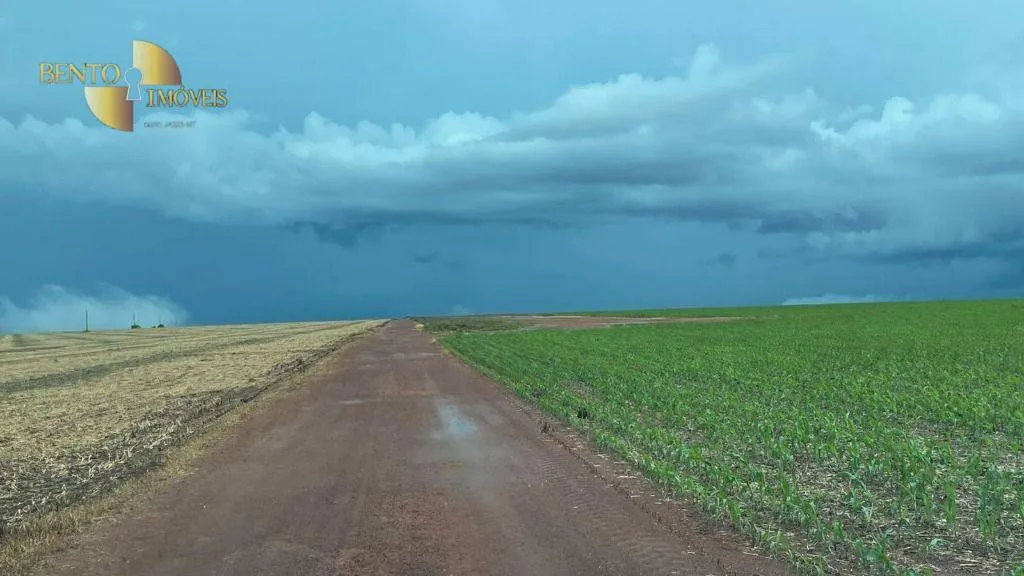 Farm for sale of 18,286 acres in Nova Mutum, MT, Brazil