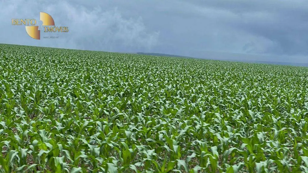 Farm for sale of 18,286 acres in Nova Mutum, MT, Brazil