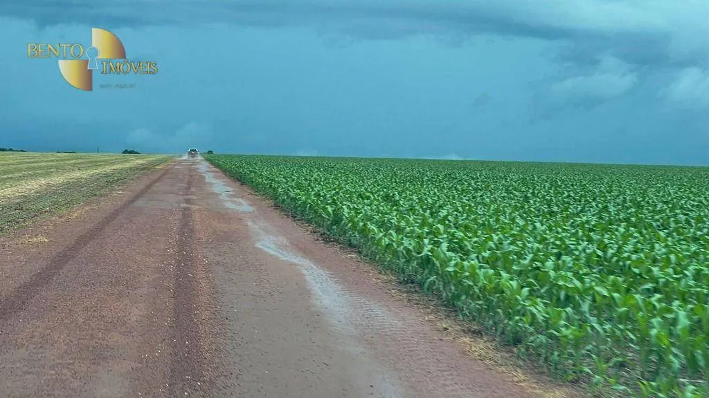 Farm for sale of 18,286 acres in Nova Mutum, MT, Brazil