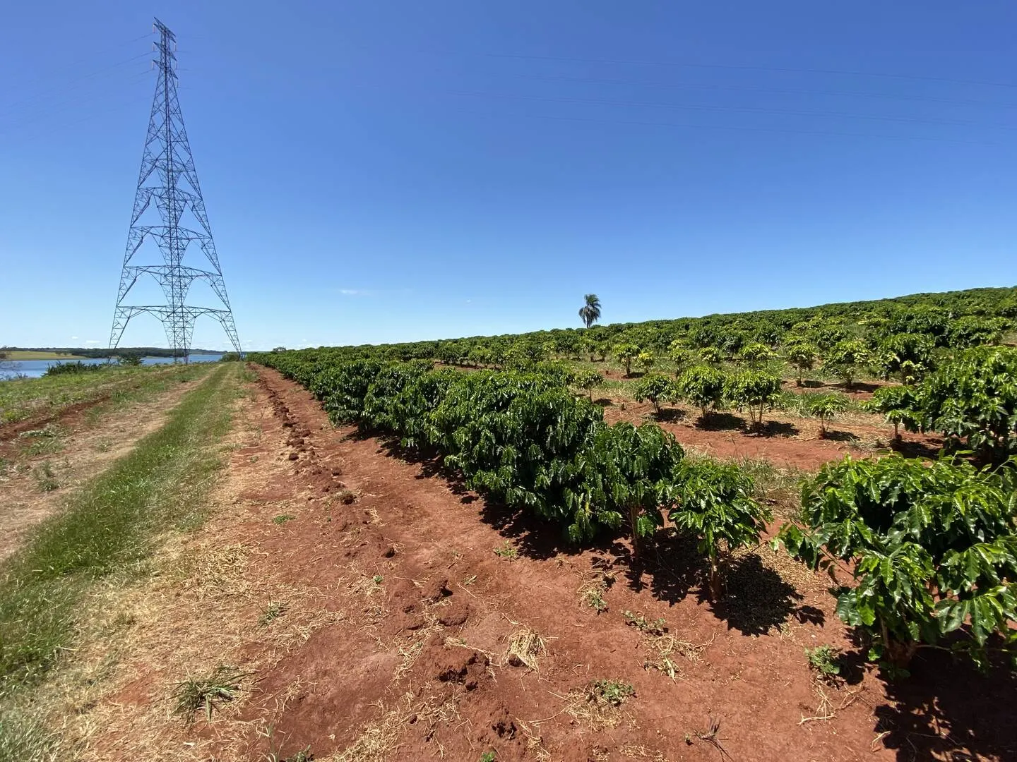 Plot for sale of 11 acres in Piraju, SP, Brazil
