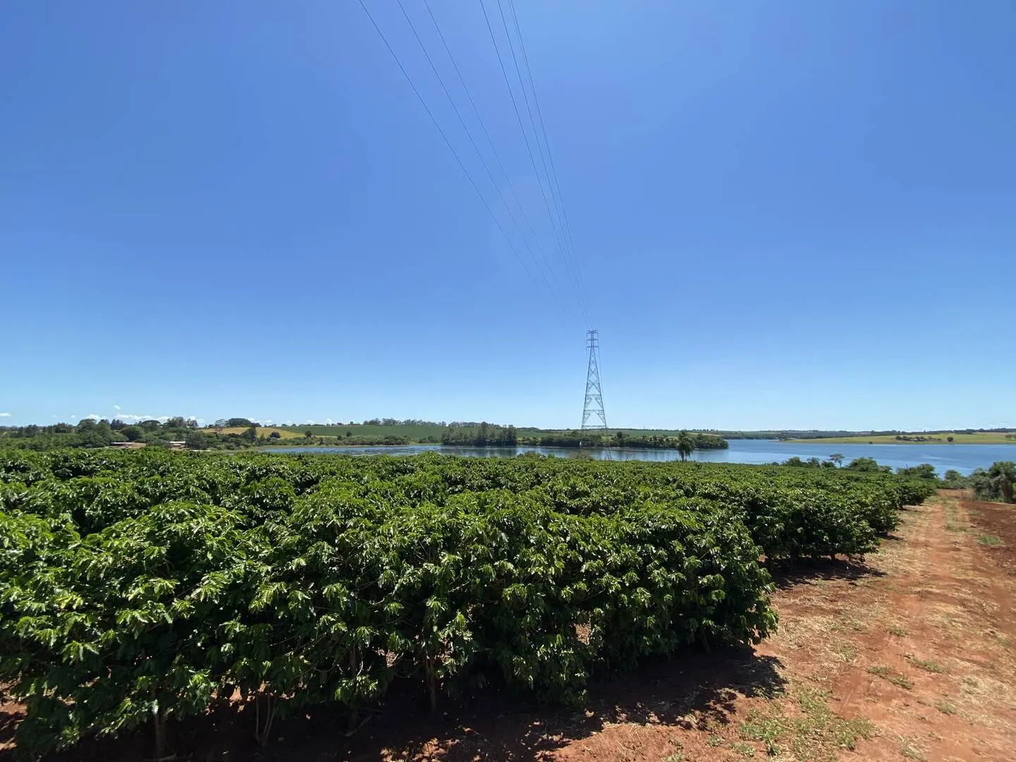 Plot for sale of 11 acres in Piraju, SP, Brazil
