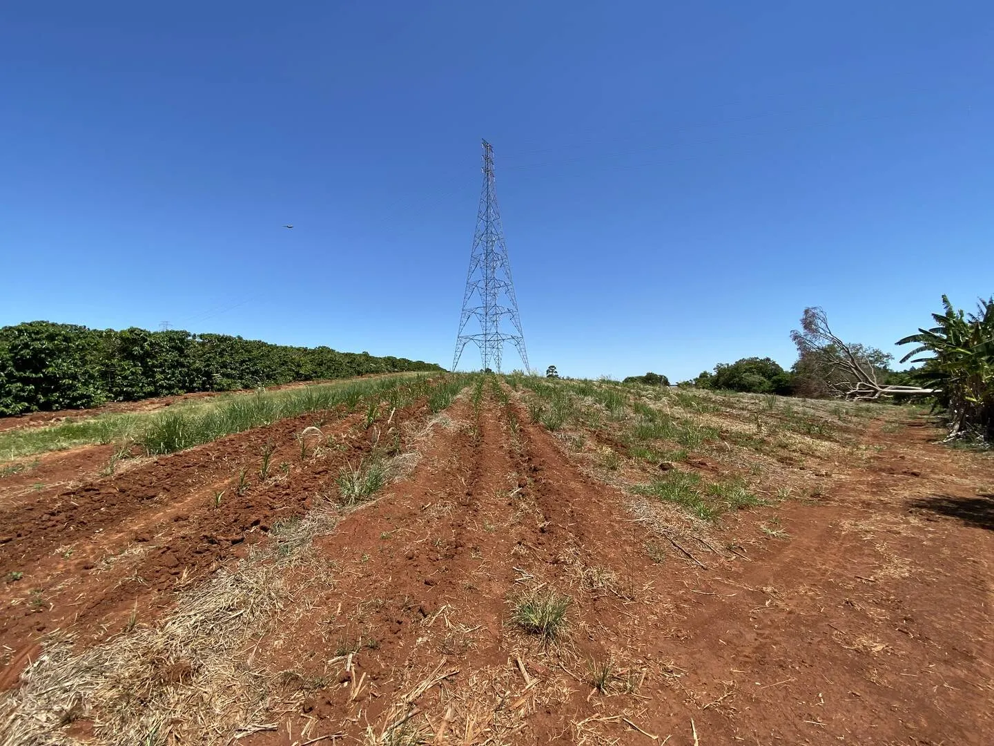 Plot for sale of 11 acres in Piraju, SP, Brazil