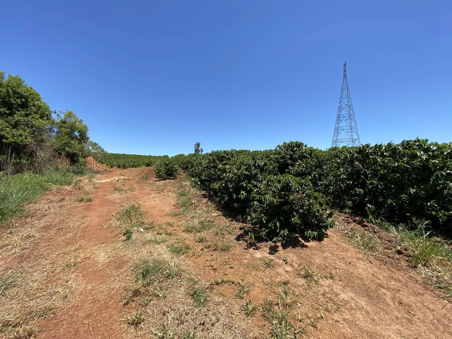 Plot for sale of 11 acres in Piraju, SP, Brazil