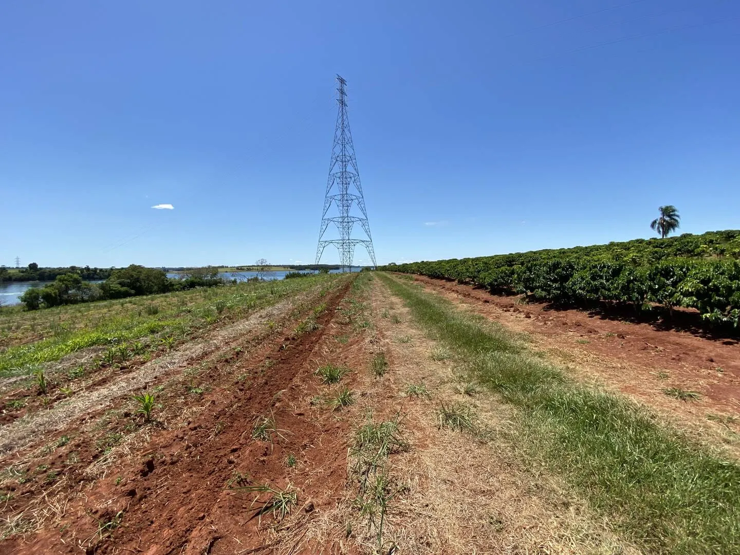 Plot for sale of 11 acres in Piraju, SP, Brazil