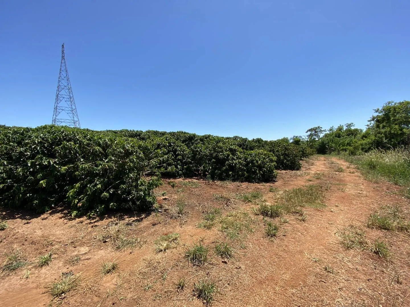 Plot for sale of 11 acres in Piraju, SP, Brazil