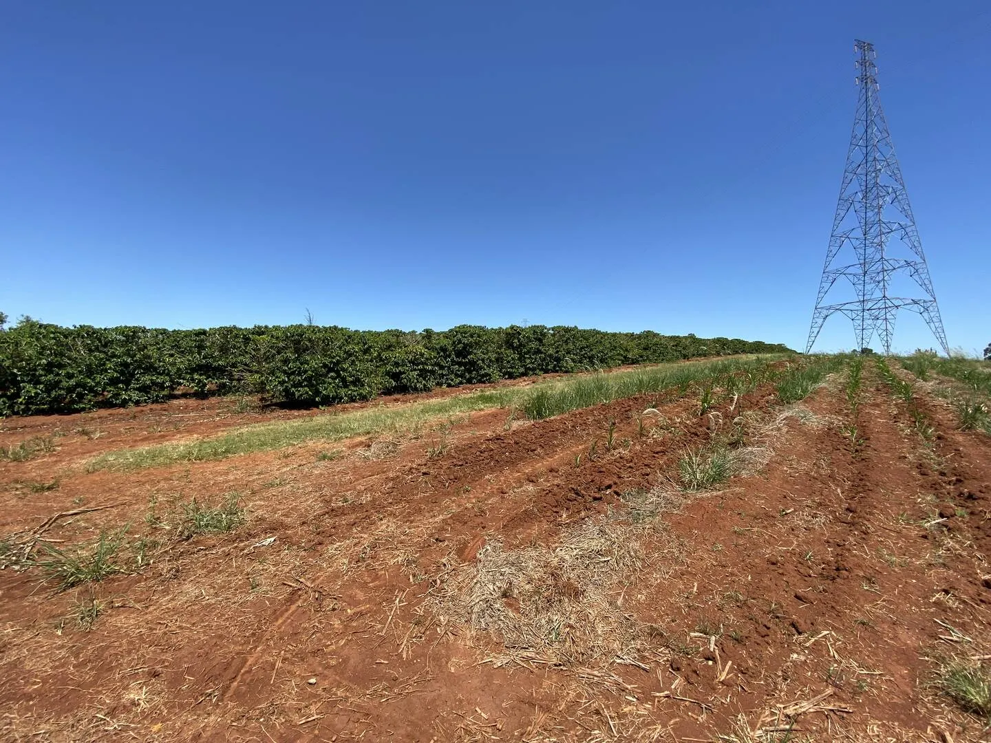 Plot for sale of 11 acres in Piraju, SP, Brazil