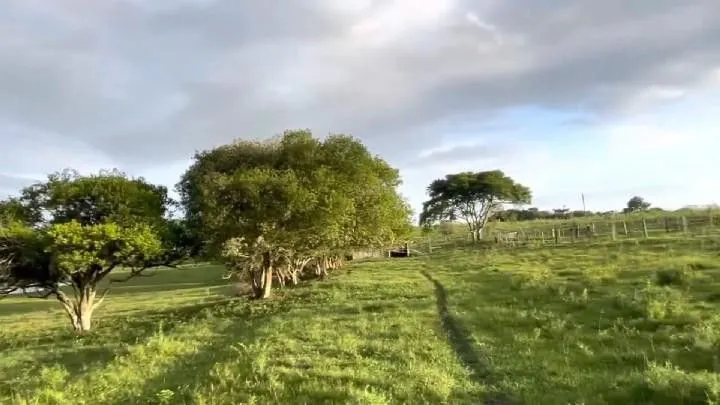 Small farm for sale of 60 acres in Glorinha, RS, Brazil
