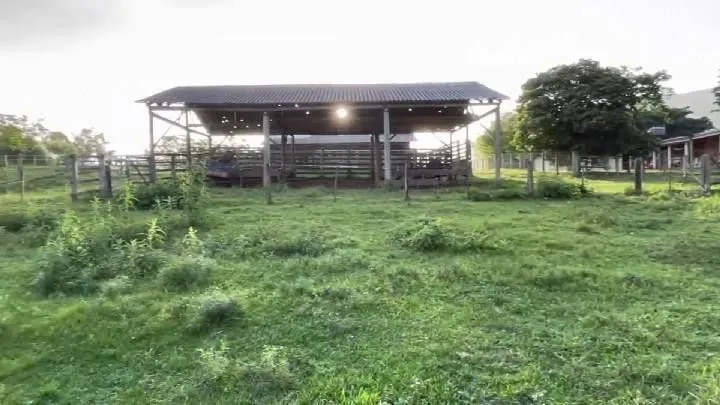 Small farm for sale of 60 acres in Glorinha, RS, Brazil