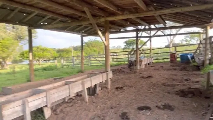 Small farm for sale of 60 acres in Glorinha, RS, Brazil