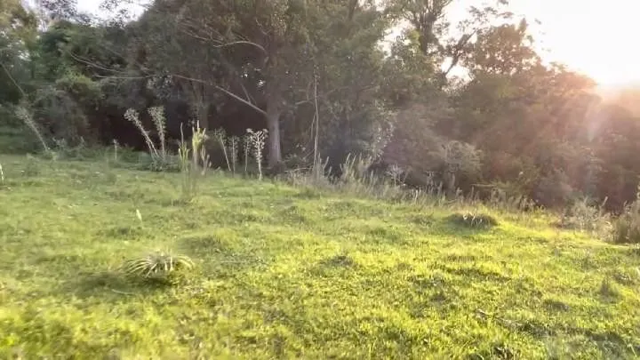 Small farm for sale of 60 acres in Glorinha, RS, Brazil