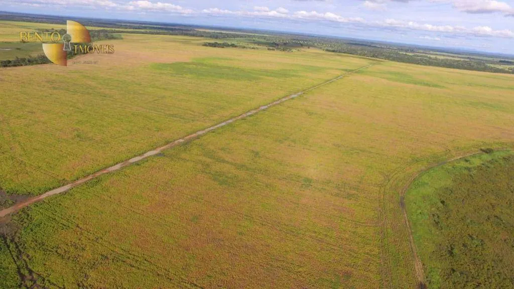 Fazenda à venda de 6.580 ha em Cocalinho, MT, Brasil