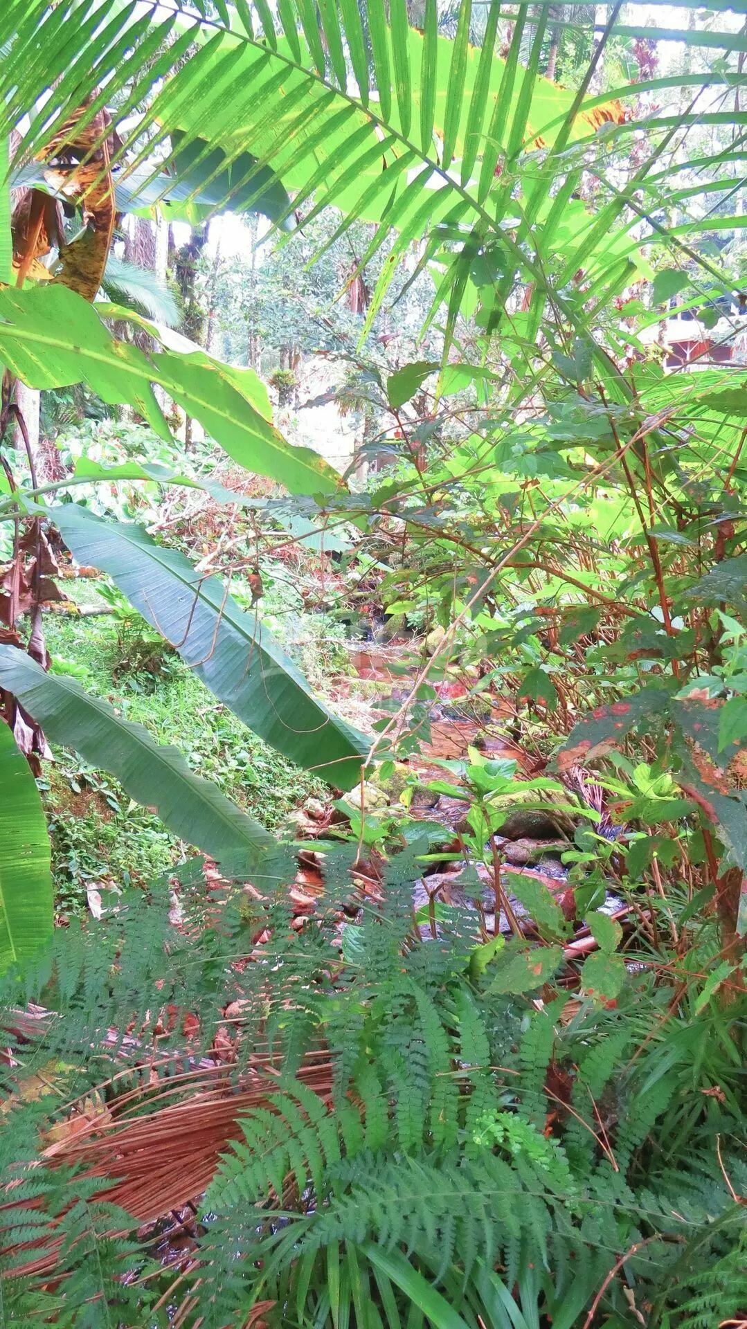 Chácara à venda de 21 ha em Guabiruba, SC, Brasil