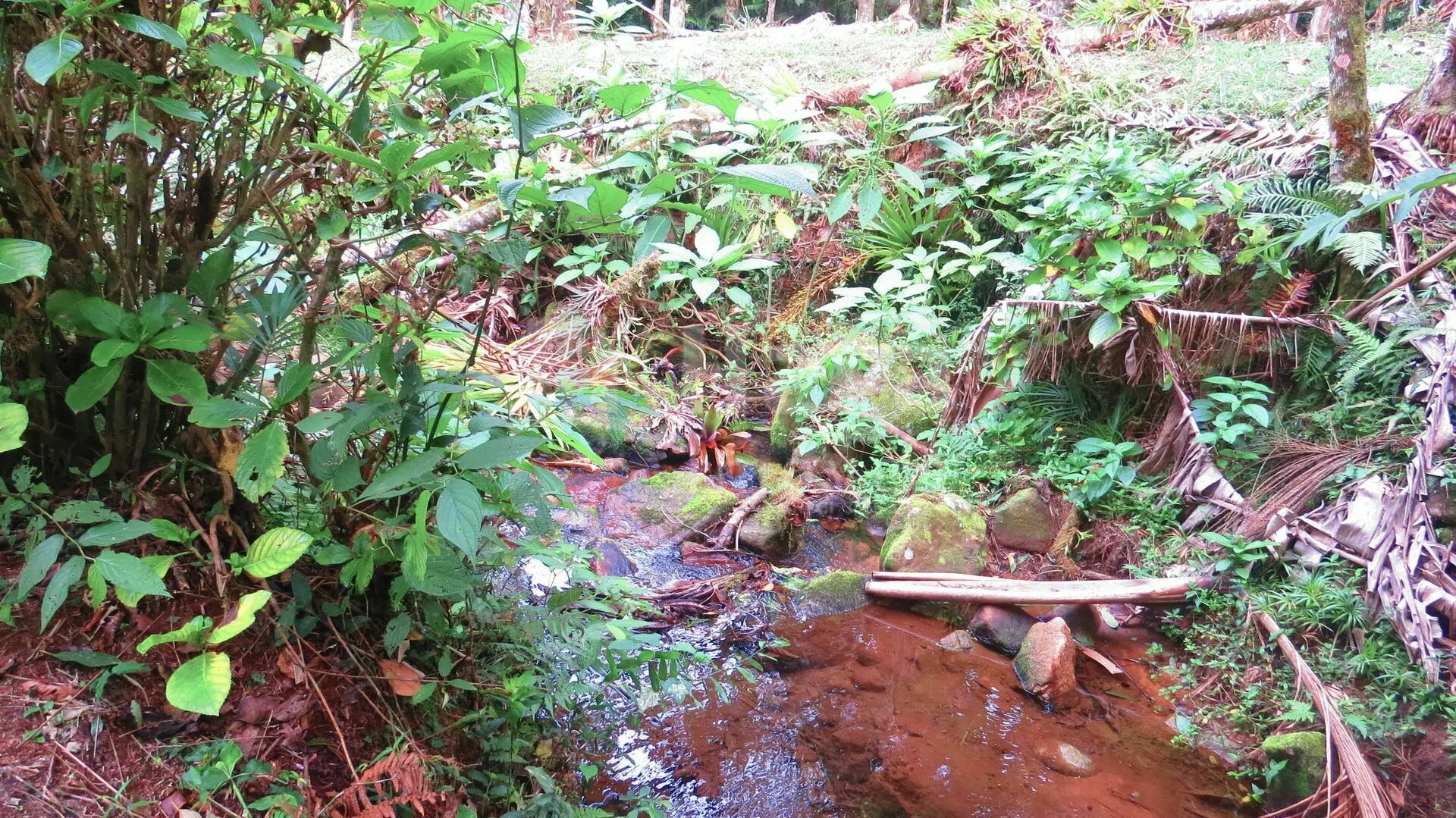 Chácara à venda de 21 ha em Guabiruba, SC, Brasil