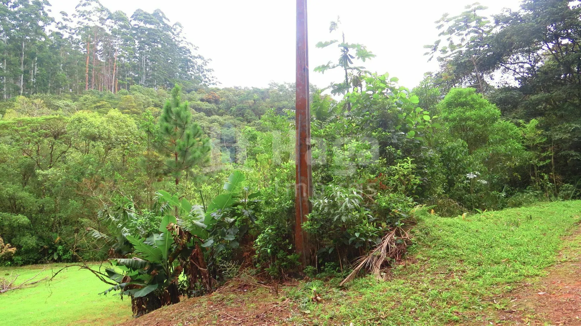 Chácara à venda de 21 ha em Guabiruba, SC, Brasil