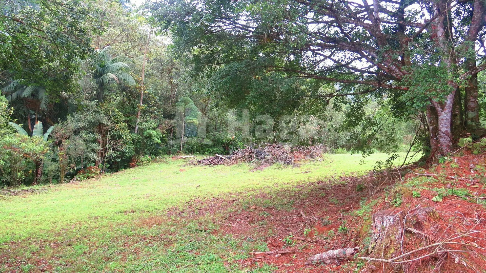 Chácara à venda de 21 ha em Guabiruba, SC, Brasil