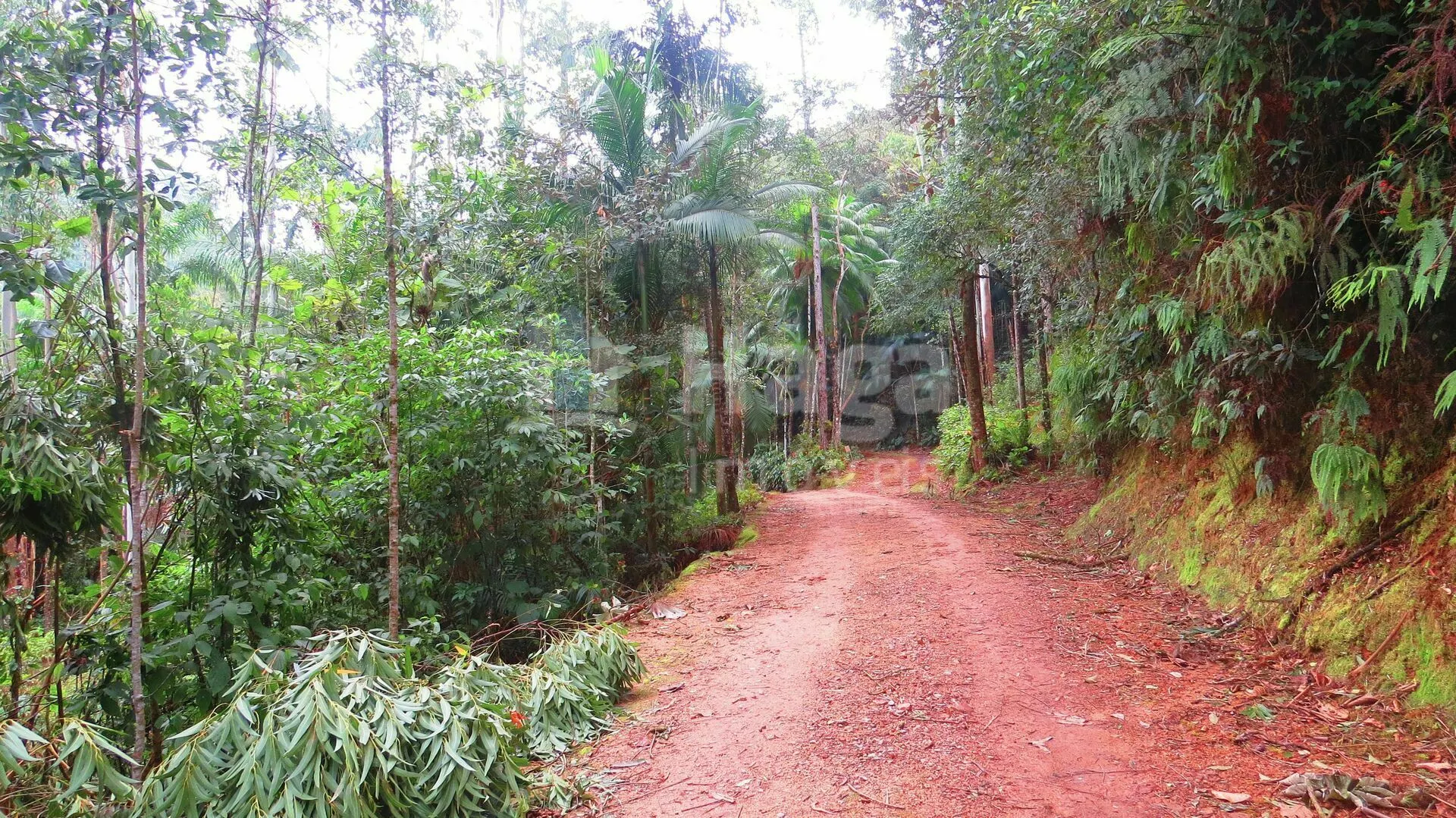 Chácara à venda de 21 ha em Guabiruba, SC, Brasil