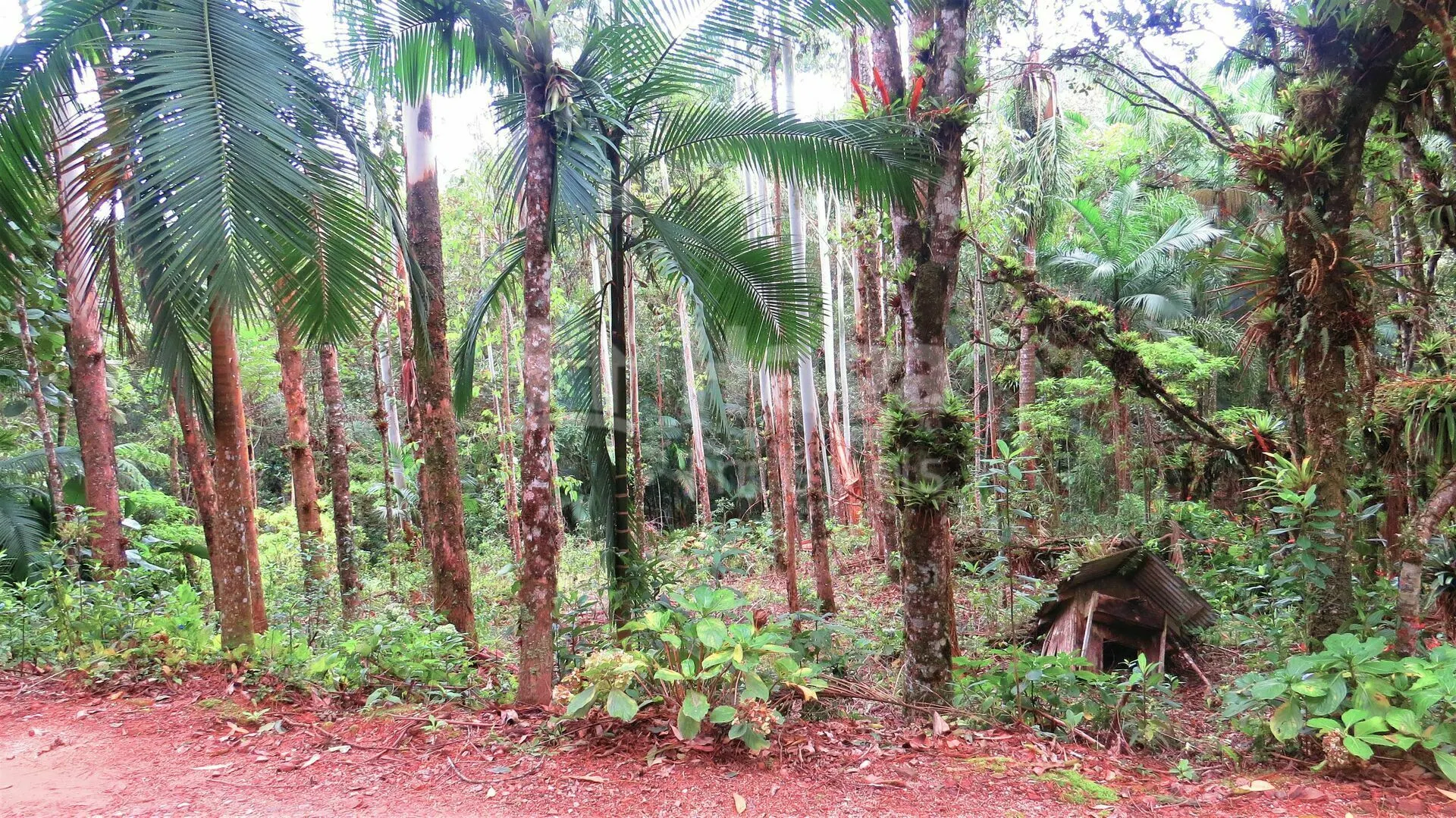 Chácara à venda de 21 ha em Guabiruba, SC, Brasil
